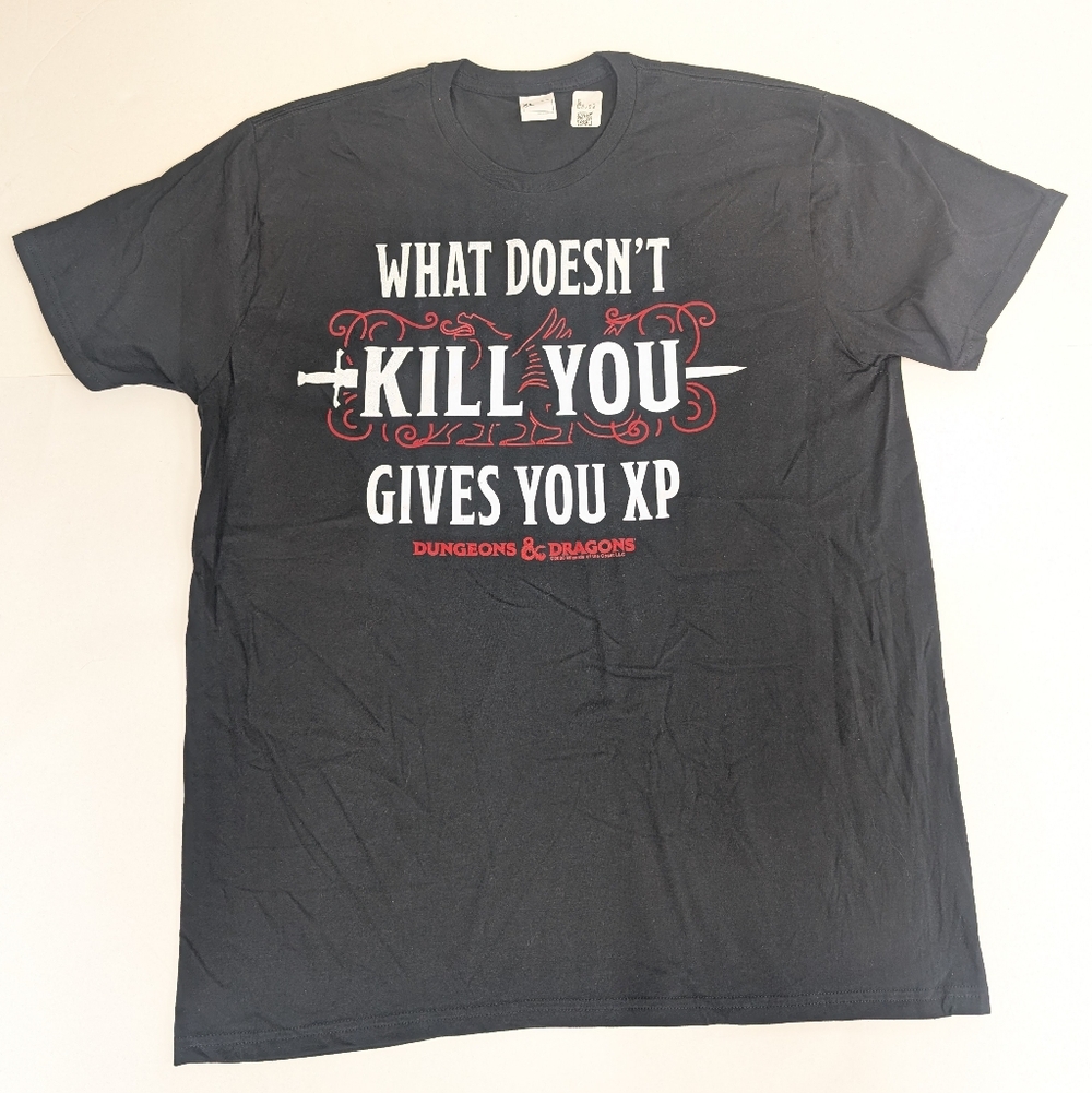 Dungeons And Dragons Funny DND Black T-shirt Women's XL Men's L [131]